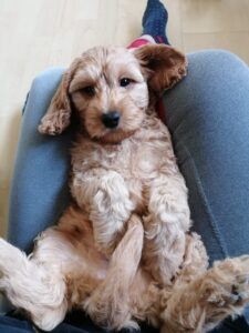 320266ed-6719-4c05-a57d-0019788a44b4