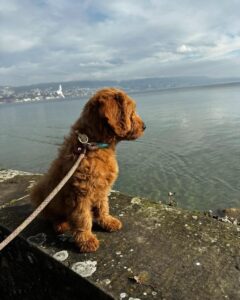 75a5eaae-855a-44d2-9593-7869b4222b1f