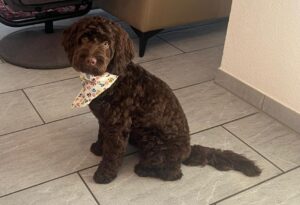 7db2efd2-0c07-40c1-a803-3b24ad49b830