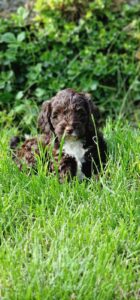 847396fa-2e9e-4016-a812-e7d91892d64a