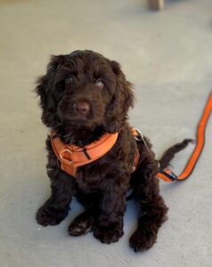 WhatsApp Bild 2024-03-21 um 12.58.44_eb868b78