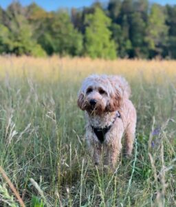 WhatsApp Bild 2024-03-21 um 13.30.46_ea82b1ea