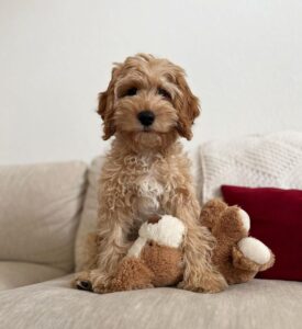 WhatsApp Bild 2024-03-21 um 13.53.12_b4ea9d67