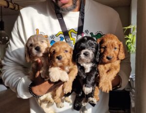 WhatsApp Bild 2024-03-21 um 13.53.42_eb0ec8d5