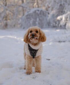 WhatsApp Bild 2024-03-21 um 13.56.48_d439a2fc