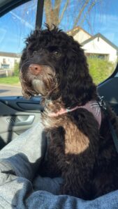 WhatsApp Bild 2024-03-21 um 14.01.46_5d4b6d05