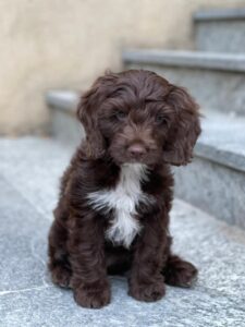 WhatsApp Bild 2024-03-21 um 14.01.50_e3eb8961