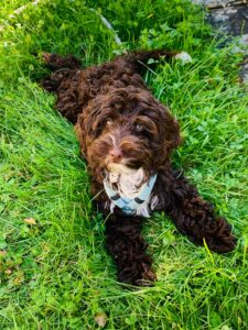 WhatsApp Bild 2024-03-21 um 14.01.51_4a1068e2