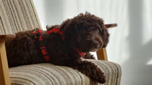 WhatsApp Bild 2024-03-21 um 14.01.51_7e06dfd8