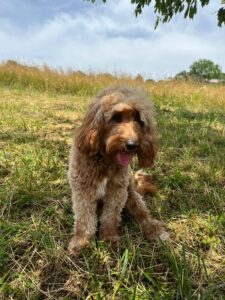 WhatsApp Bild 2024-03-21 um 14.03.18_ea30cc0d