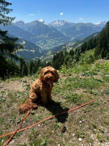 WhatsApp Bild 2024-03-21 um 14.03.18_f82b74d1