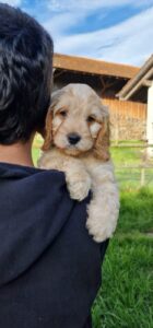 WhatsApp Bild 2024-03-21 um 14.14.17_7d656dcd