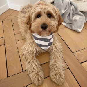 WhatsApp Image 2024-02-23 at 45