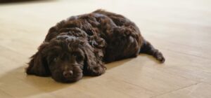 b2c870d9-e353-487e-b298-0952b4129133