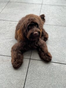 d75ad27e-679c-467e-8c0c-689298a903e7