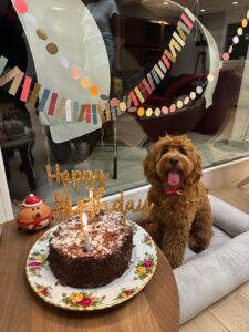 e2f23f5c-68f9-4d8e-b3c0-9fcb7de479be